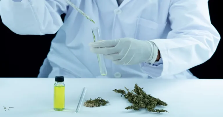 Gelonade Strain